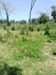 Vipande vya 50x100 vinauzwa Mtwapa Mtepeni - 2