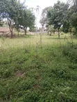 Vipande vya 50x100 vinauzwa Mtwapa Mtepeni - 4