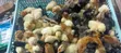 Pegra Day Old Kienyeji Chicks - 2