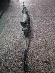 Toyota Mark X Steering Rack - I tumika - 1