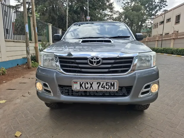 Toyota Hilux 3.0 D-4D 4x4 Double Cabin 2013 Gray - 1