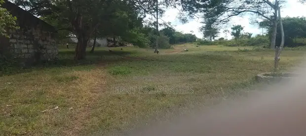4.3-Acre Beachfront Property for Sale | Tiwi, Kwale - 1
