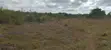 4.3-Acre Beachfront Property for Sale | Tiwi, Kwale - 2
