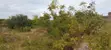 4.3-Acre Beachfront Property for Sale | Tiwi, Kwale - 3