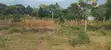 4.3-Acre Beachfront Property for Sale | Tiwi, Kwale - 5