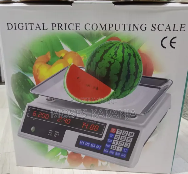 ACS 40 Digital Weighing Scale (No Arm) - 1