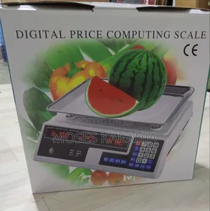 ACS 40 Shop Weighing Scale (No Arm)