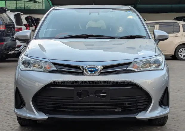 Toyota Corolla Fielder 2019 Hybrid Gray - 1