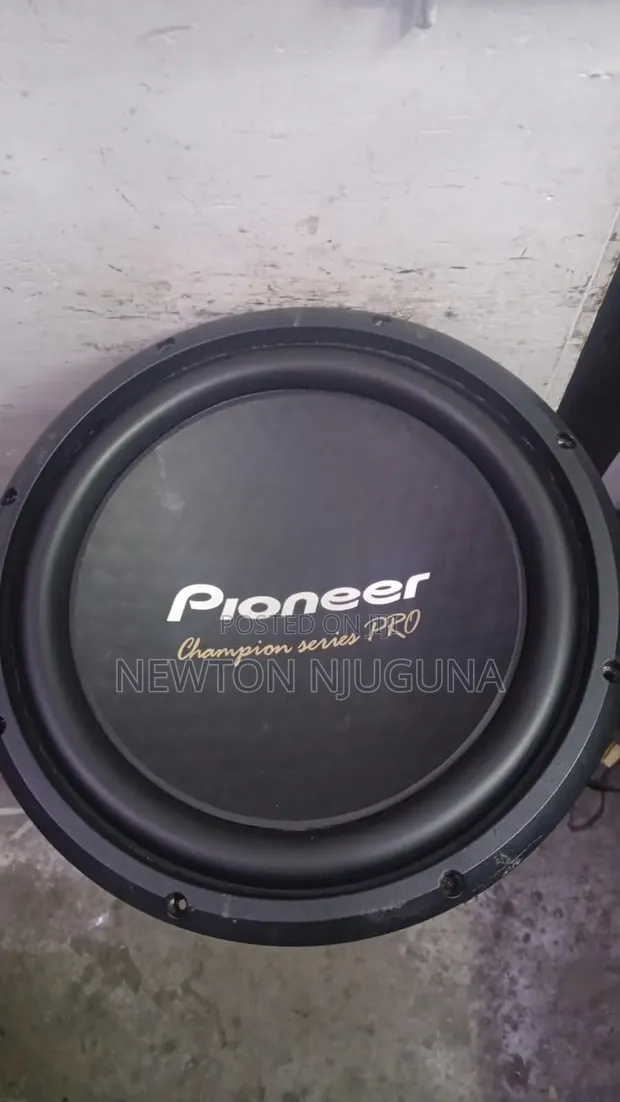 Spika za Pioneer 3004D4 - 1