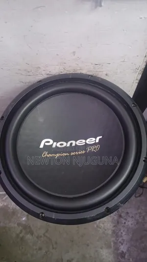 Spika za Pioneer 3004D4