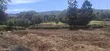 Quarter Acre Plot for Sale, Ngong Kahara Road - 2