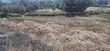 Quarter Acre Plot for Sale, Ngong Kahara Road - 3