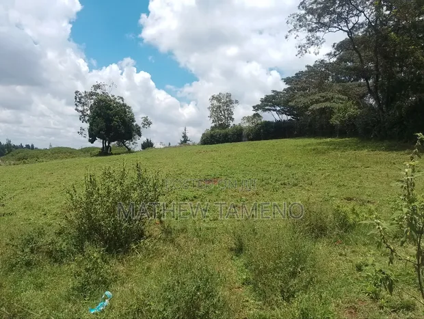 Quarter Acre Plot for Sale, Ngong Kahara Road - 1