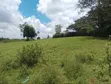 Quarter Acre Plot for Sale, Ngong Kahara Road - 1