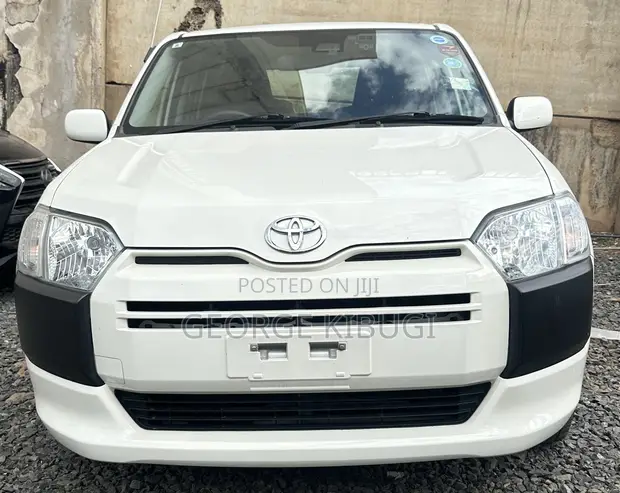 Toyota Probox 2019 - F Grade TXG - 1