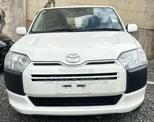 Toyota Probox 2019 - F Grade TXG