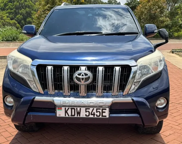 Toyota Land Cruiser Prado VX 2013 Blue - 1