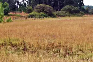 Ardhi Bora Inauzwa Makuyu