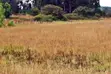 Ardhi Bora Inauzwa Makuyu - 1