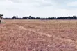 Ardhi Bora Inauzwa Makuyu - 3