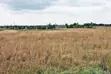 Ardhi Bora Inauzwa Makuyu - 4