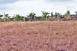 Ardhi Bora Inauzwa Makuyu - 5