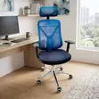 Brand New Orthopedic Computer Chair - 1