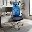 Brand New Orthopedic Computer Chair - 2