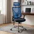 Brand New Orthopedic Computer Chair - 4
