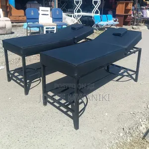 Professional Massage Bed with Waterproof Cover
