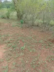 Eko 100 za Eka Mauzo Kitui Kwa Vonza - 1