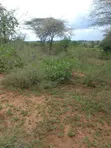 Eko 100 za Eka Mauzo Kitui Kwa Vonza - 2