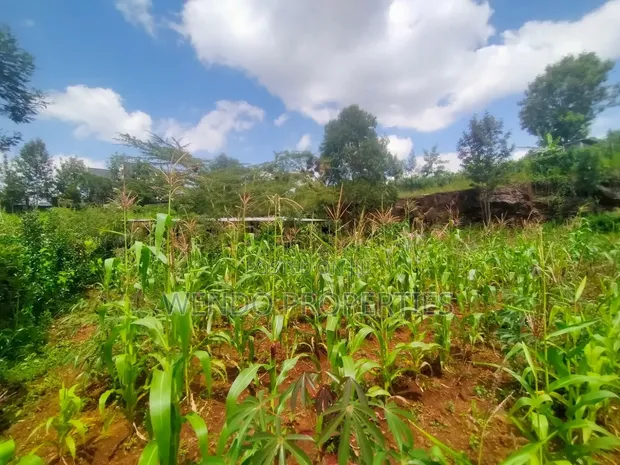 1/8 Acre Plot for Sale in Kerarapon - 1