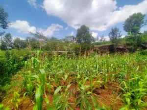 1/8 Acre Plot for Sale in Kerarapon