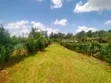 1/8 Acre Plot for Sale in Kerarapon - 3