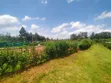 1/8 Acre Plot for Sale in Kerarapon - 5