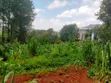 Kerarapon Drive 1/4 Acre Plot for Sale - 3
