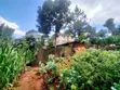 Kerarapon Drive 1/4 Acre Plot for Sale - 5