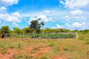 Kitalu cha 50x100 kinauzwa Mwea Ridge Phase 2