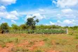 Kitalu cha 50x100 kinauzwa Mwea Ridge Phase 2 - 1