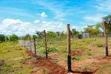 Kitalu cha 50x100 kinauzwa Mwea Ridge Phase 2 - 2