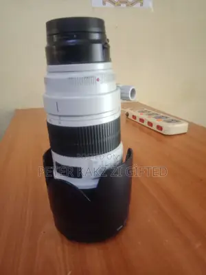 Canon EF 70-200mm f/2.8L IS III USM Lens
