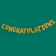 Congratulations Foil Banners - 2