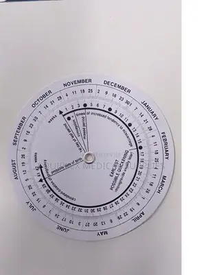 High Quality Pregnancy Wheel