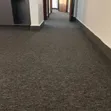 Carpet za Kiofisi za Grey - Kufunika Sakafu Nzima - 1