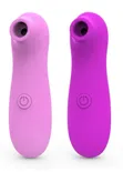Battery Operated Clitoral Sucking & Vibrator Stimulator - 2