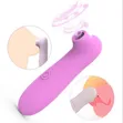 Battery Operated Clitoral Sucking & Vibrator Stimulator - 4