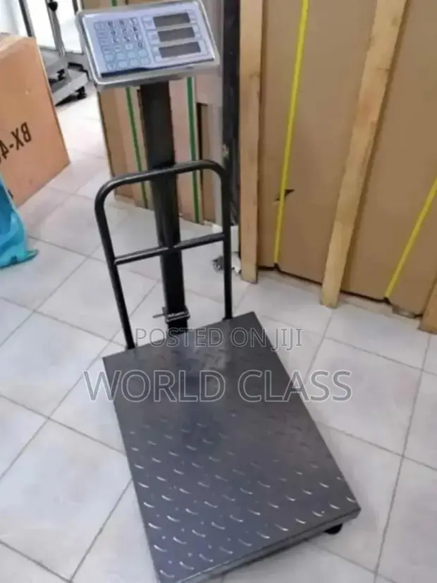 300kg Heavy-Duty Digital Platform Weighing Scale - 1