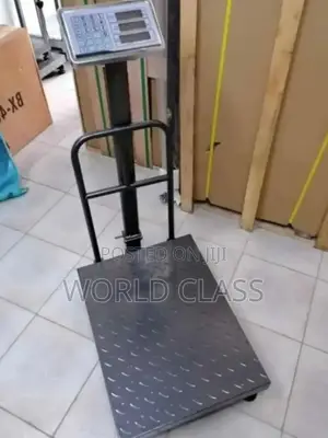 300kg Heavy-Duty Digital Platform Weighing Scale