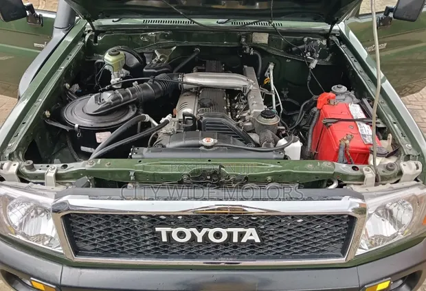 Toyota Land Cruiser 79 Series Pickup 2018 - 1